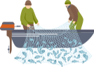 feature icon
